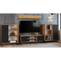 Tv Lowboard TV base cabinet Tv cabinet 2 doors 155 cm 64 cm 40 cm steel legs